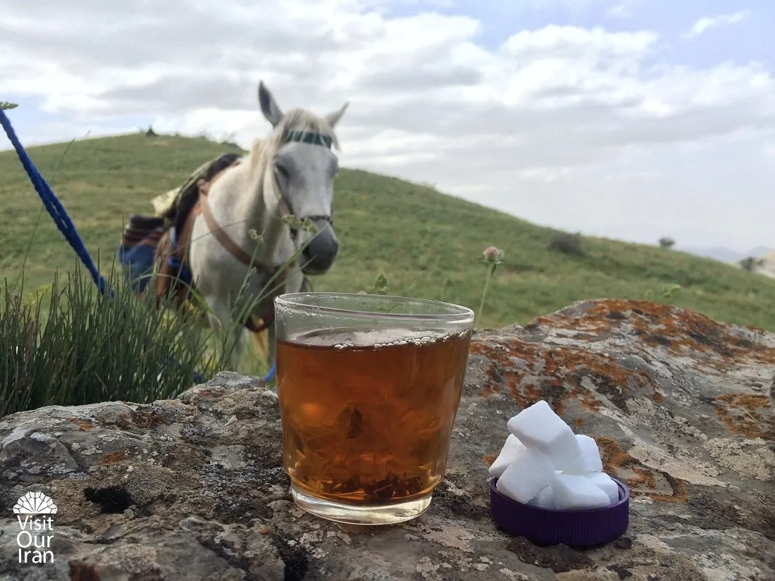 Camping in Golestan National Park