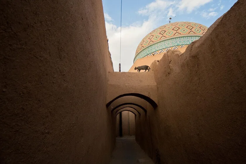 Fahadan-Neighborhood-in-the-old-city-of-Yazd