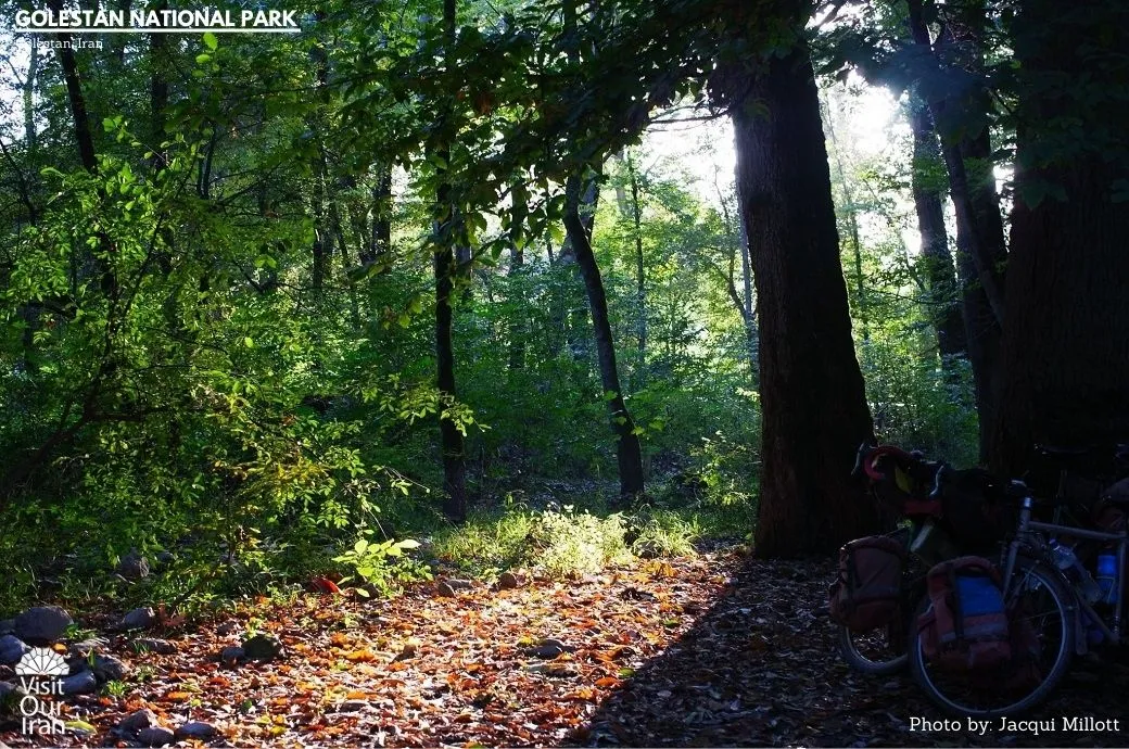 Golestan National Park 2