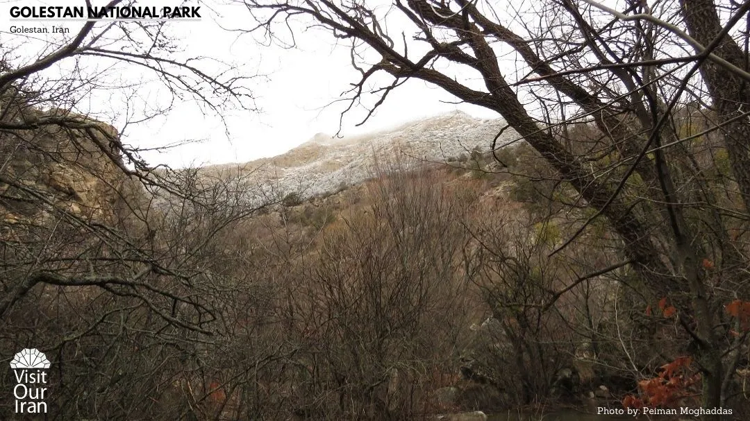 Golestan National Park 4