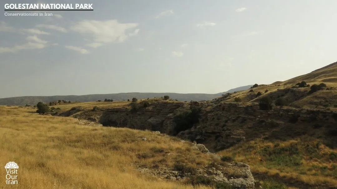 Golestan national park