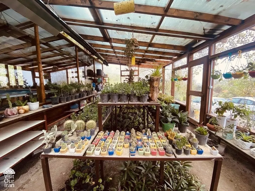 Greenhouse