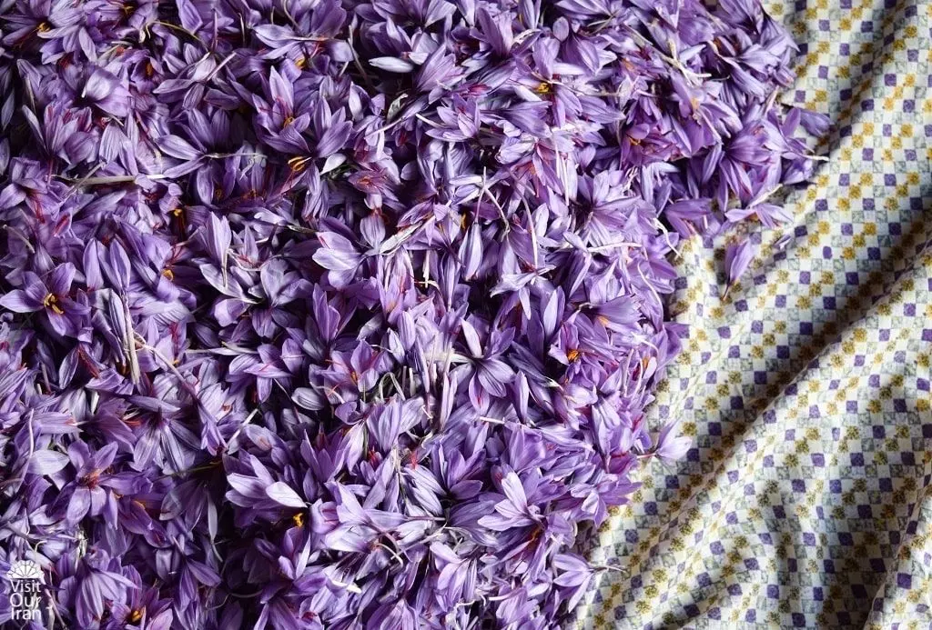 How to Buy the Best Iranian Saffron 6