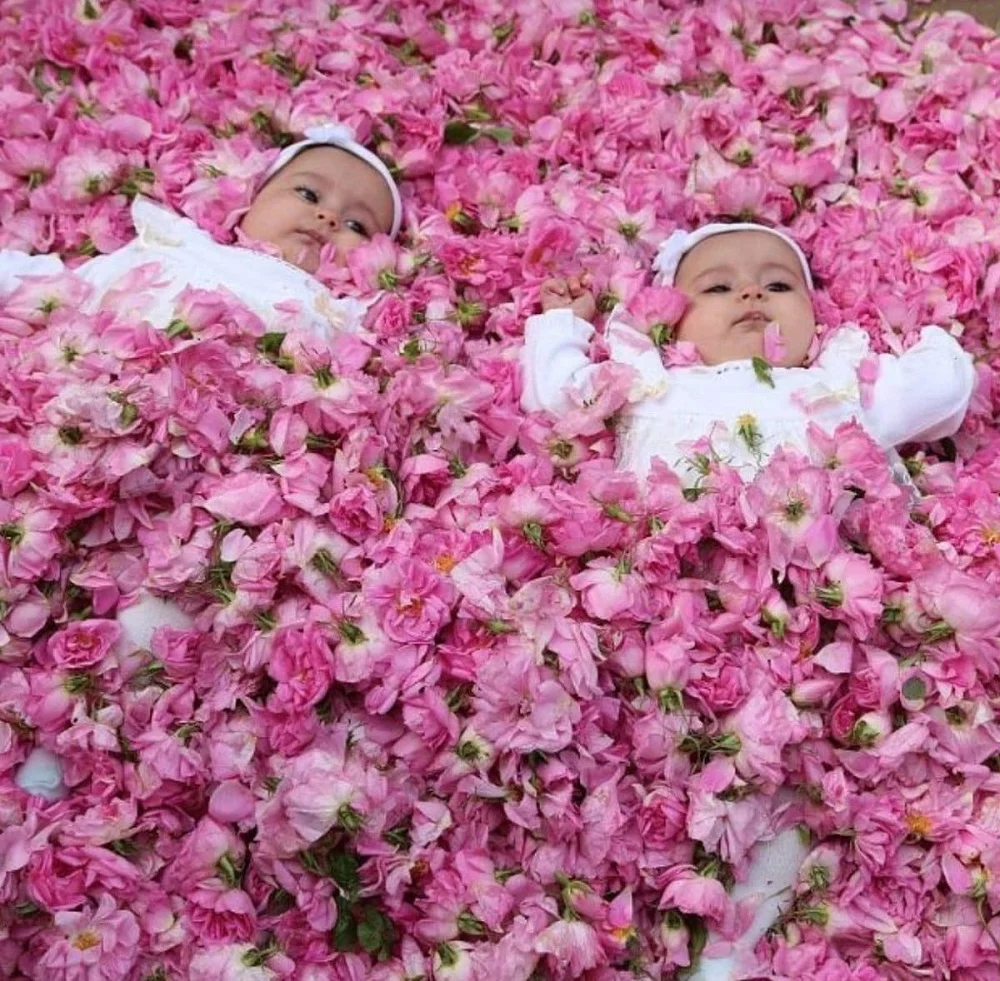 Infants Rolling in Flowers 2