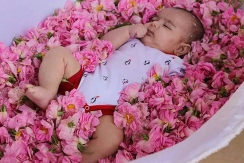 Infants Rolling in Flowers 3