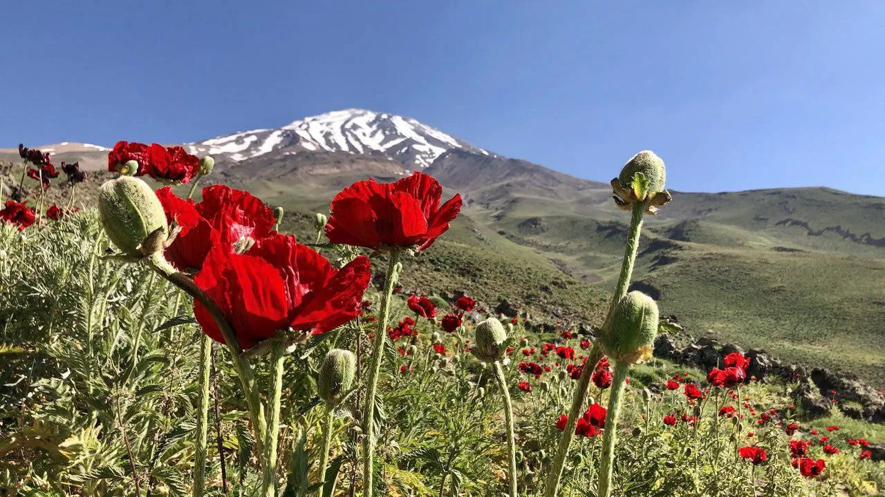 Iran Panorama Trek