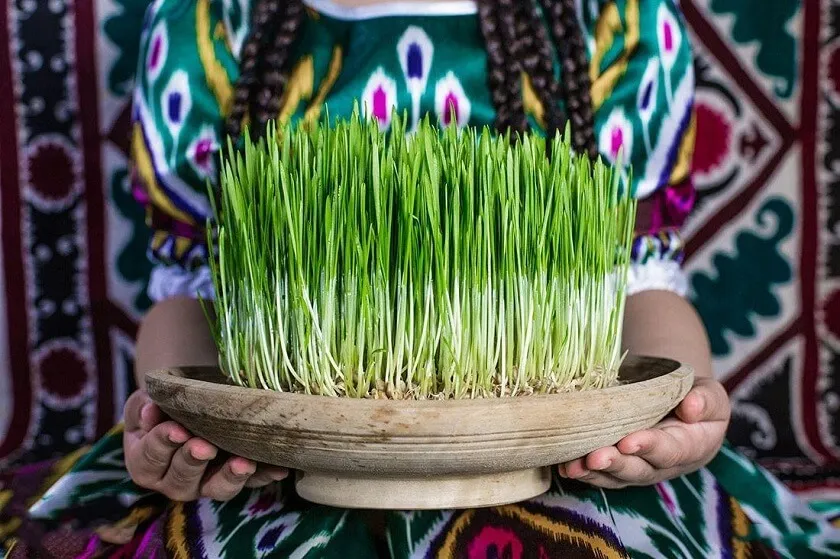 Nowruz and green Sabze