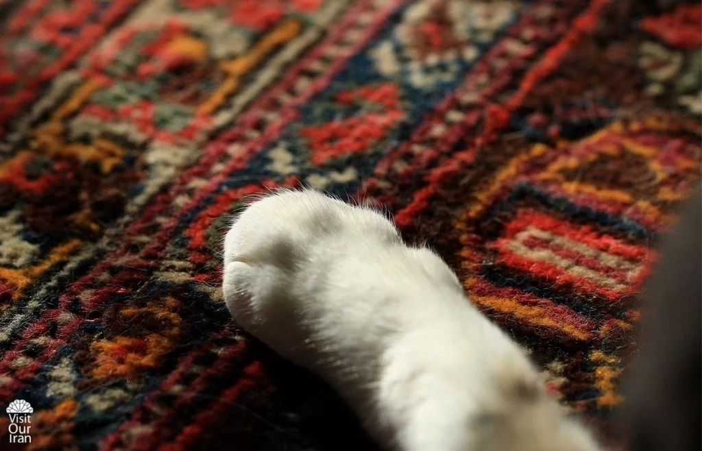 Persian Carpet 18