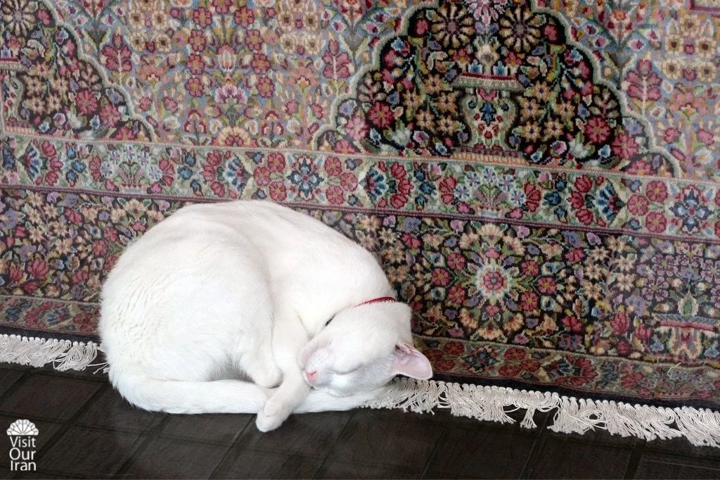 Persian Carpet 6 1