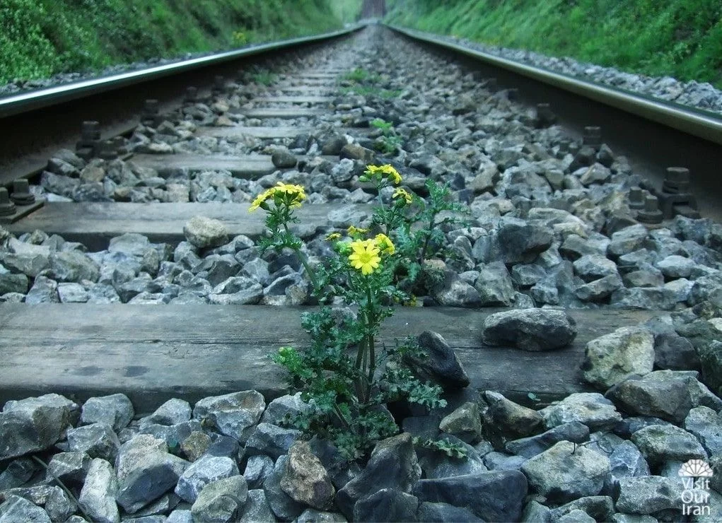 The trans Iranian Railway 7