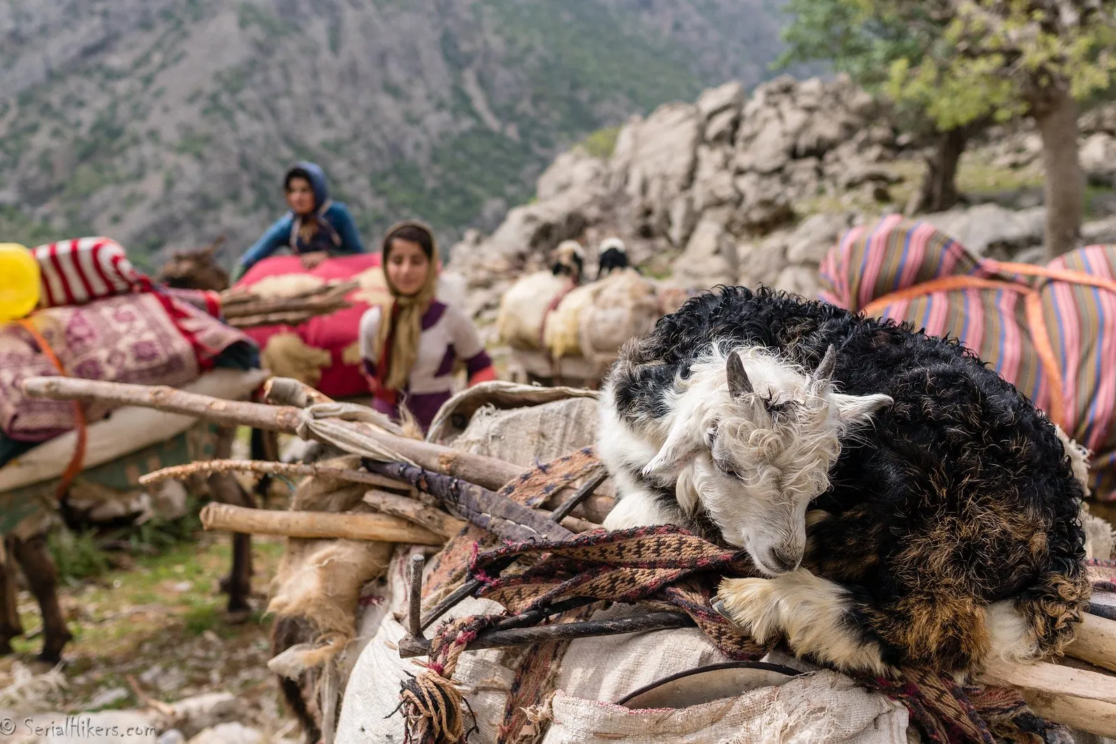 Zagros mountains and nomads