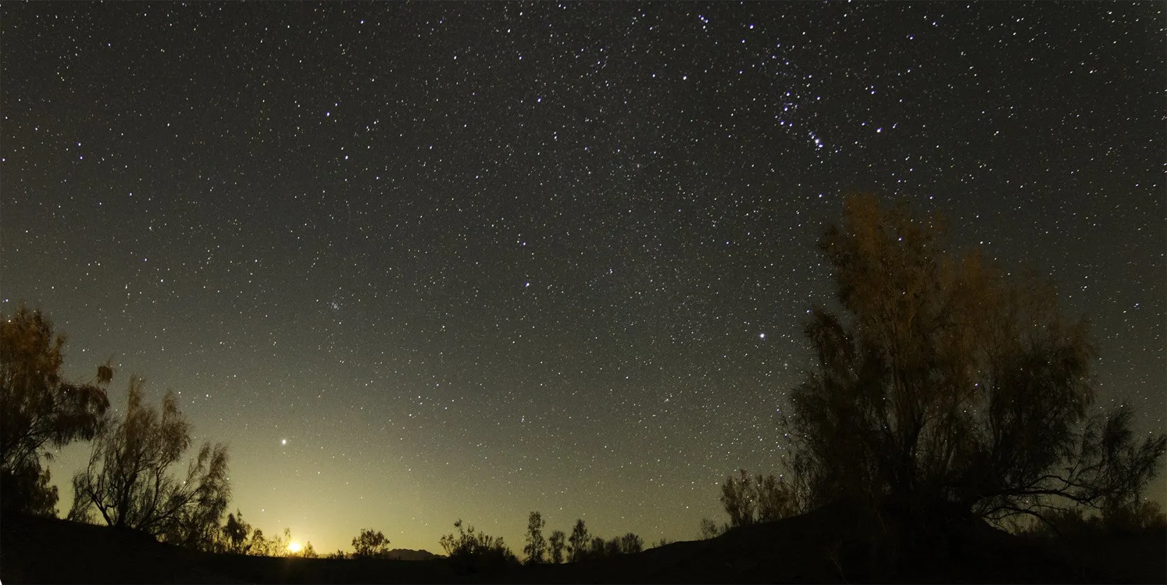 deserts shooting stars