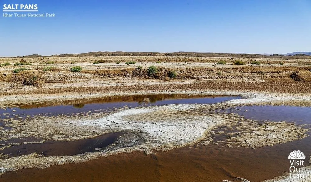 salt pans